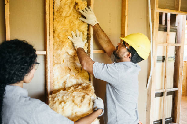 Best Home Insulation Services  in Colon, MI
