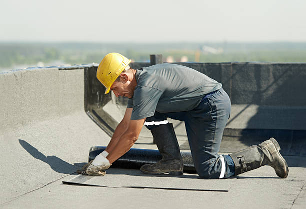 Best Insulation for New Construction  in Colon, MI