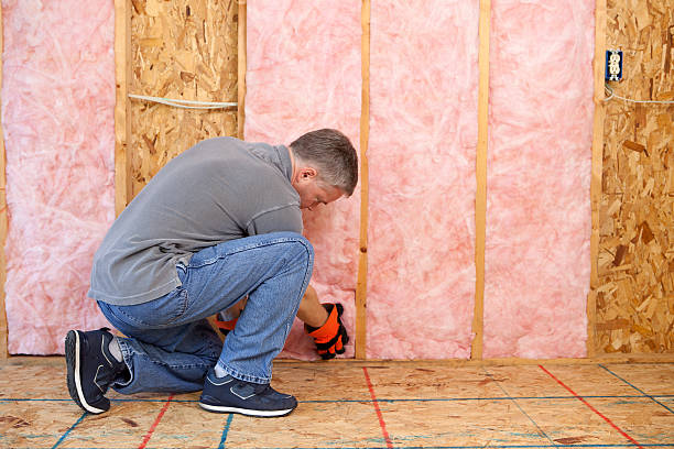 Best Attic Insulation Installation  in Colon, MI