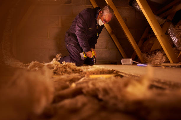 Best Attic Insulation Installation  in Colon, MI